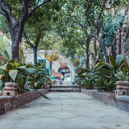 בית הארחה Medousa